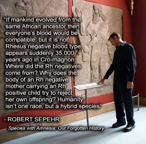 rh a negative blood type facts rh a negative blood type facts