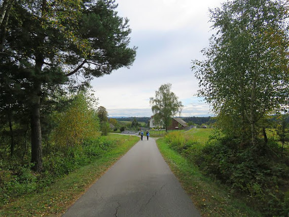 Dąbry dabry