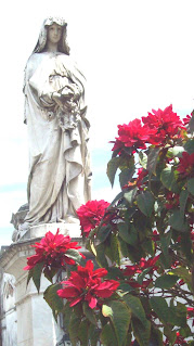 Historias de Amor  del Cementerio de Recoleta