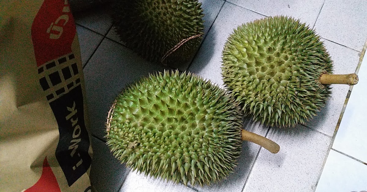 Durian ioi vs musang king