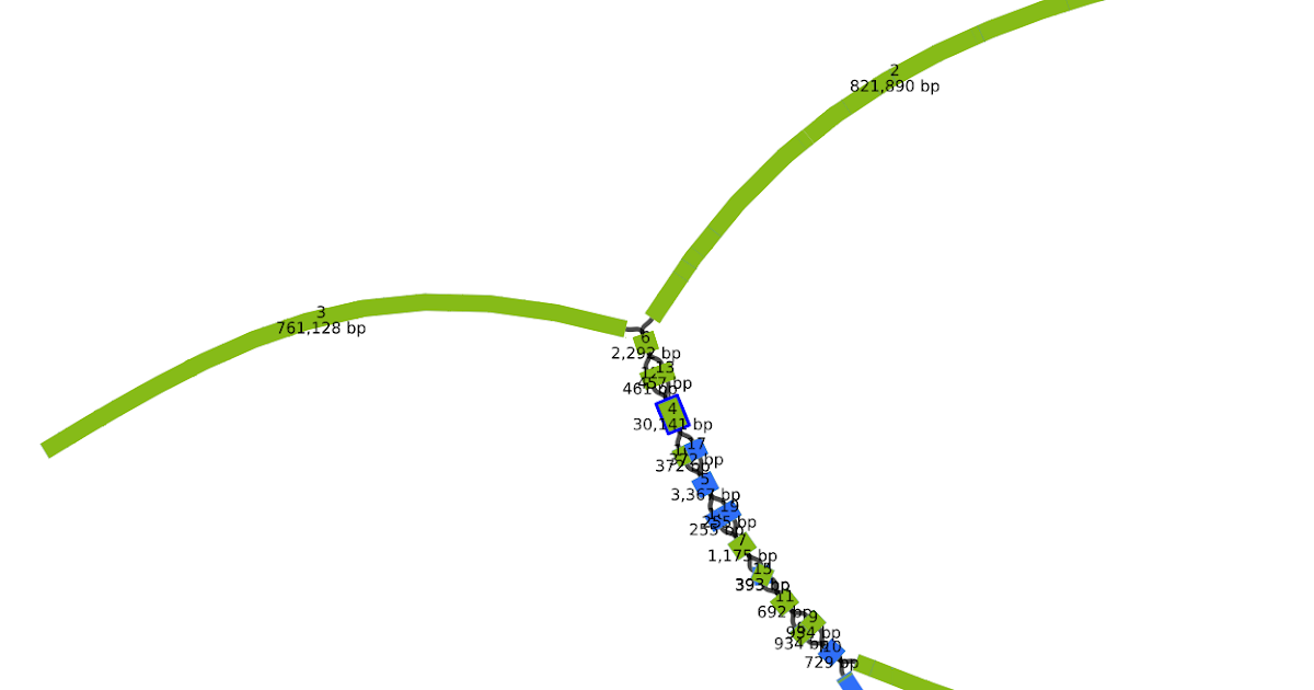 CHGI Bioinformatics Hybrid PacBio + Illumina assembly turning