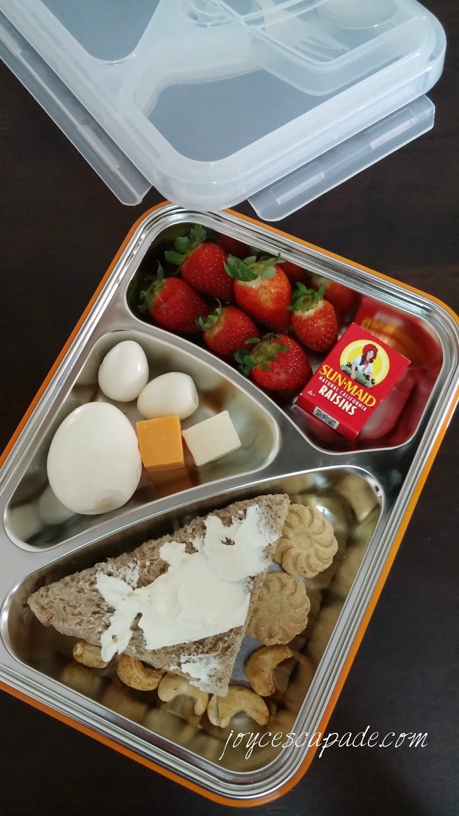 Thinksport GO2 Travel Container: A safer & highly functional lunch box -  Joy 'N' Escapade