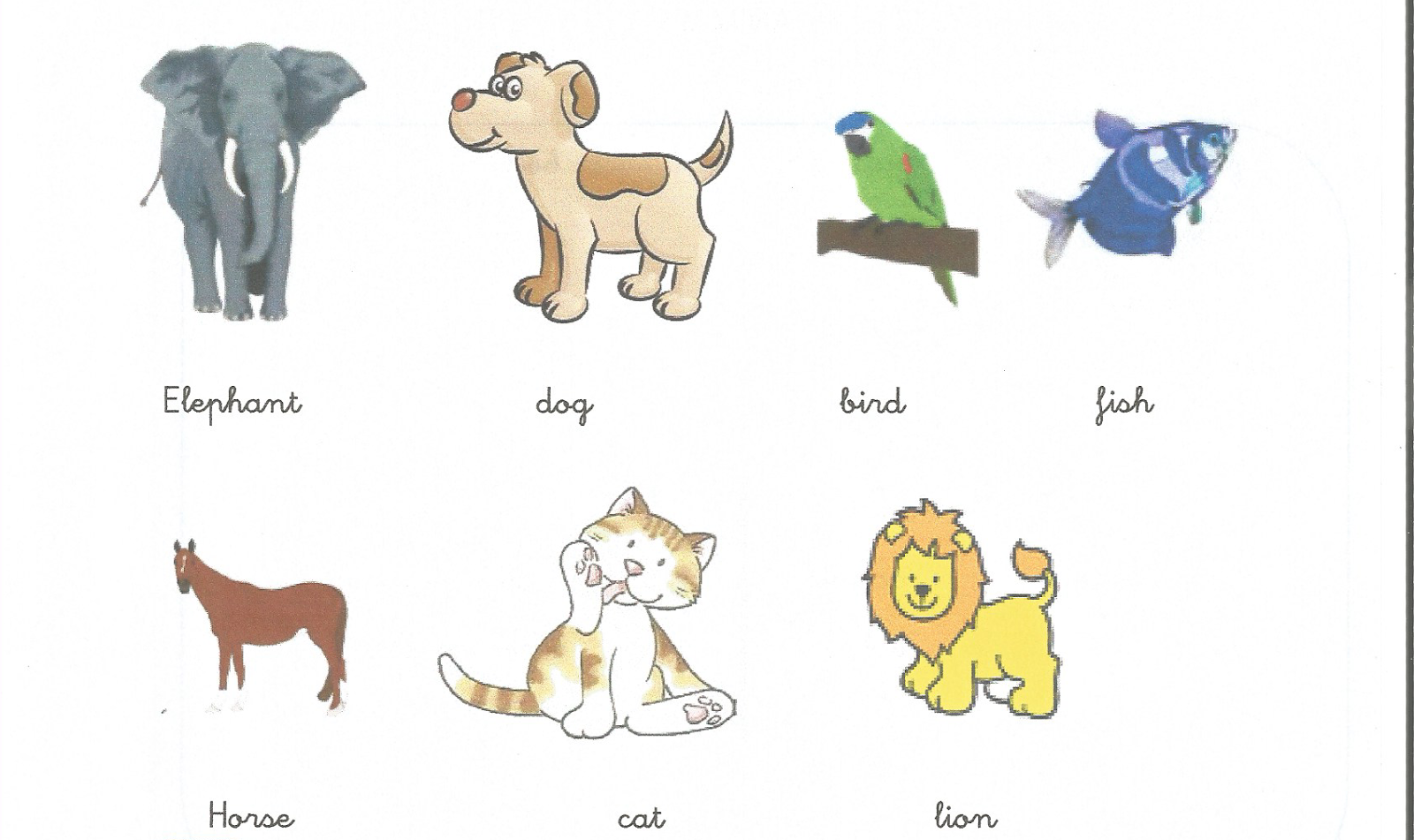 ¡Ya estamos en primaria!: enero 2015