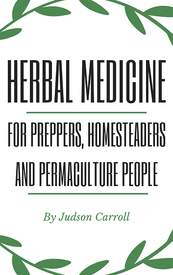 Herbal Medicine for Preppers, Homesteaders and Permaculture People by Judson Carroll