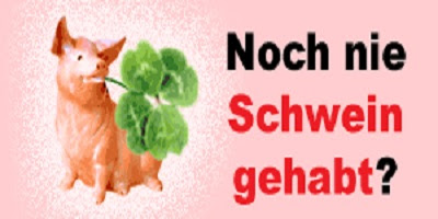 Schwein haben?