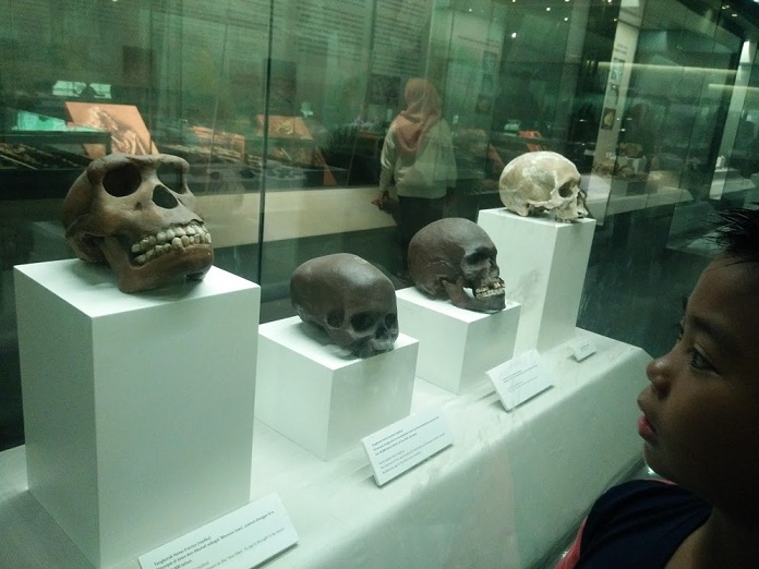 Muzium Negara Muzium Negara