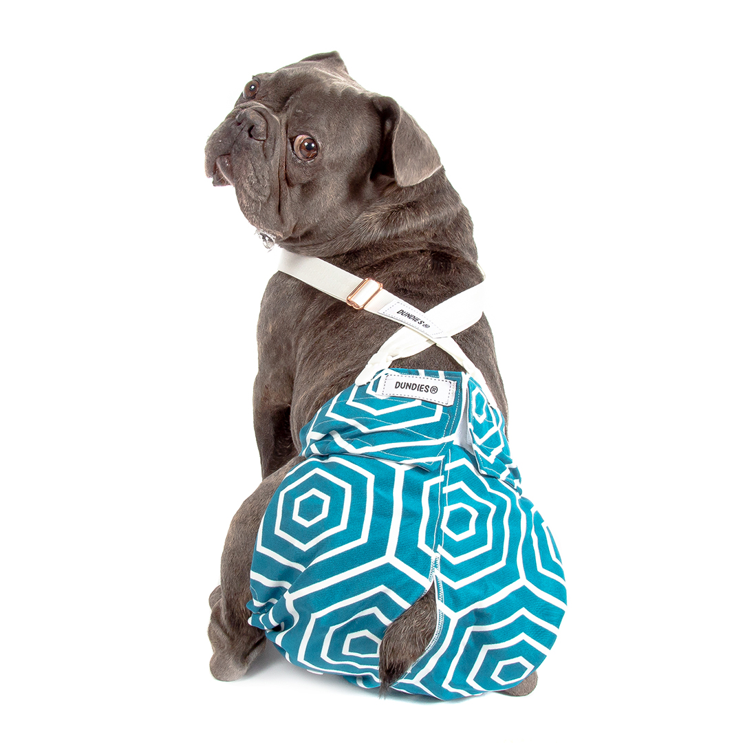 Sustainable dog accessories Clearance