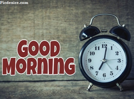 Cute Good Morning Images for Whatsapp | Best 21 Cute Good morning Photo Cute Good Morning Images for Whatsapp | Best 21 Cute Good morning Photo