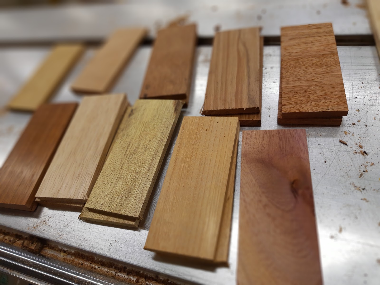 O que é madeira – Xiloteca da UFAM