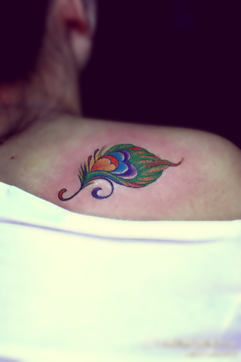  colorful peacock feather tattoos on the shoulder - 2
