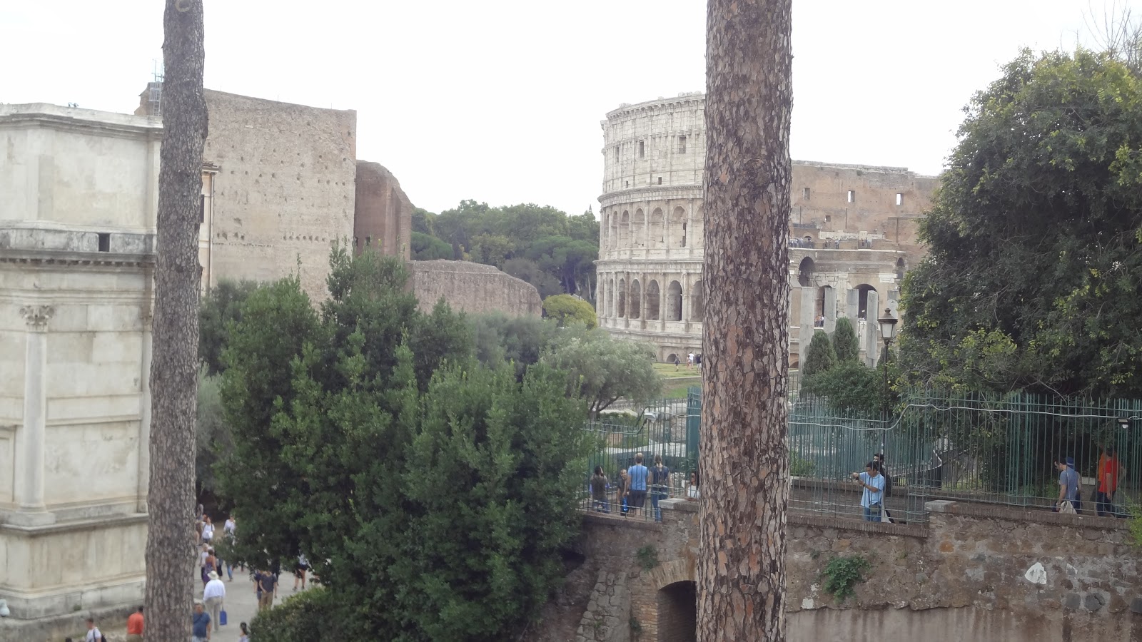 from colosseum