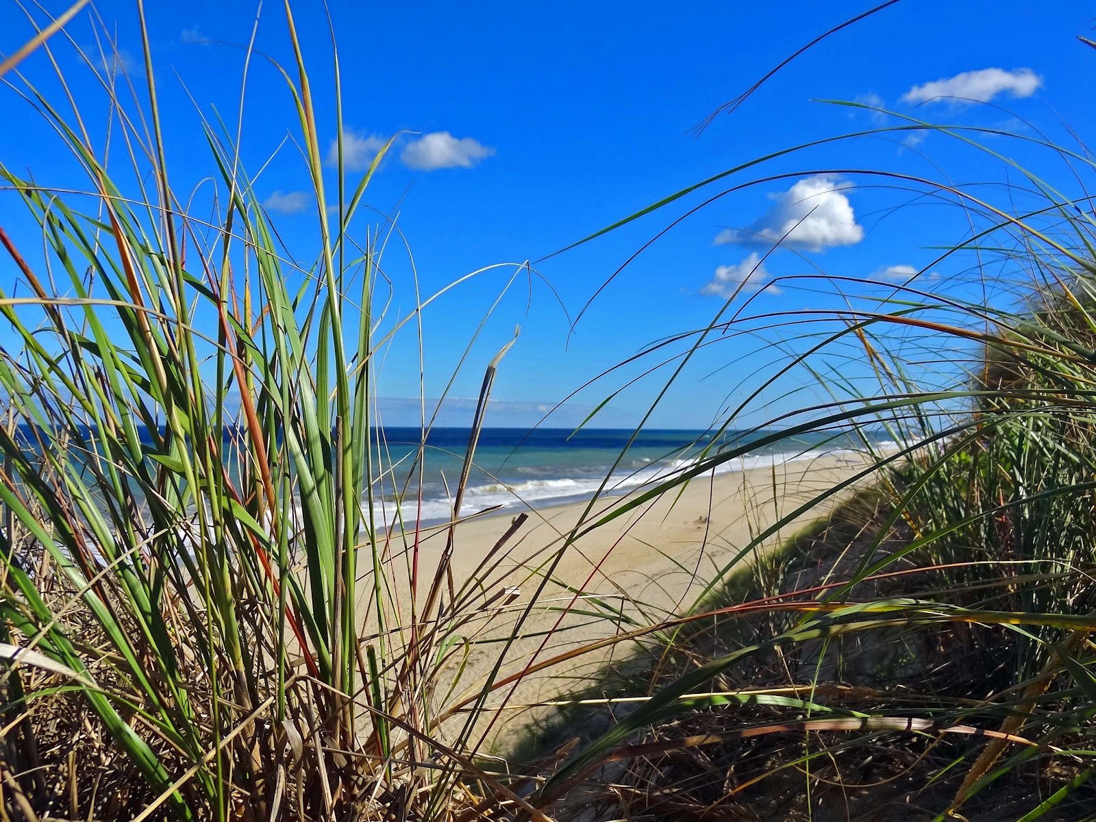 national seashore beaches wellfleet national seashore beaches wellfleet