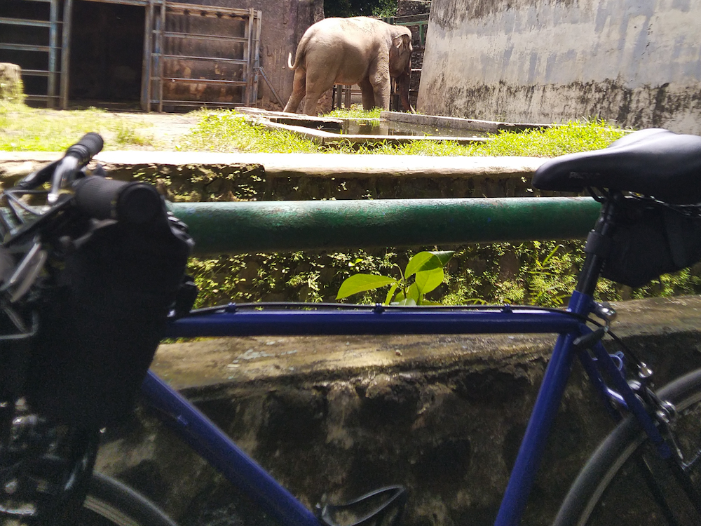Sepedahan ke Kebun Binatang Ragunan