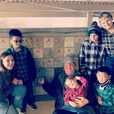 Compound Living Going To The Zoo Zoo Zoo