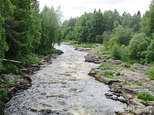 Taas mennään alamäkeen, mutta sellasta elämä on