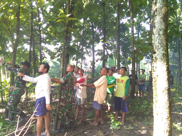 Kodim Sragen - Babinsa Baleharjo Sigap Evakuasi Pohon Tumbang Akibat Angin Kencang