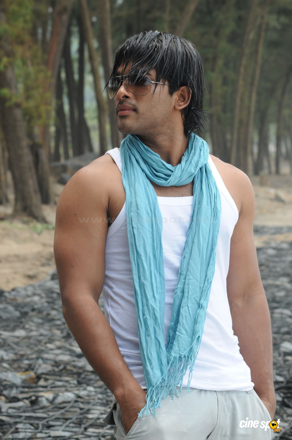 TOLLYWOOD DON....: stylish star allu arjun hot stills