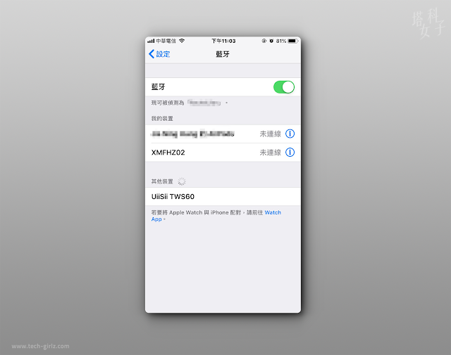 UiiSii TWS60 真無線藍牙耳機 UiiSii TWS60 真無線藍牙耳機