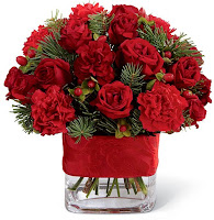 Christmas red flowers