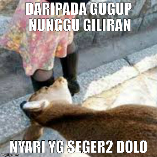 Meme Lucu Qurban Kurban Terbaru Gambar Idul Adha 2020 