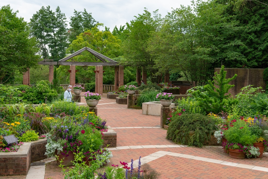 Jardinería para personas con diferentes capacidades en el Botánico de