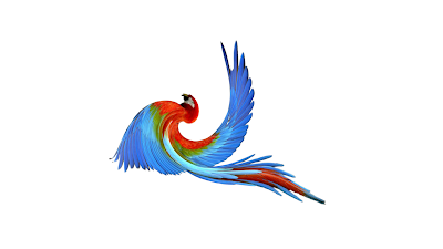 Mr Parrot Mr Parrot
