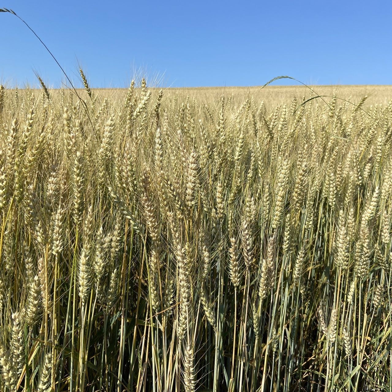 Alles außer Arbeit Von Ernstbrunn zum Oberleiser Berg