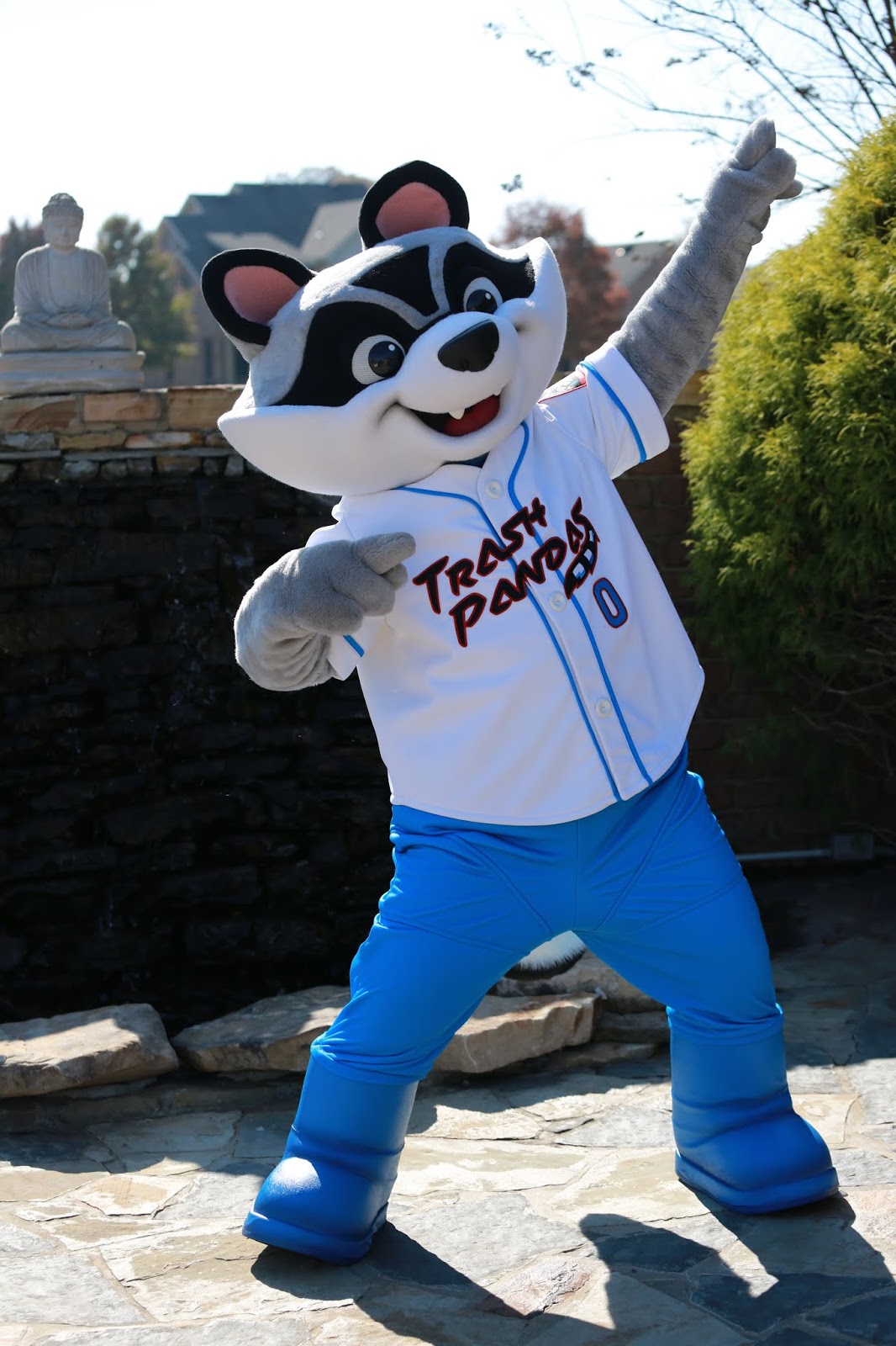 Rocket City Trash Pandas