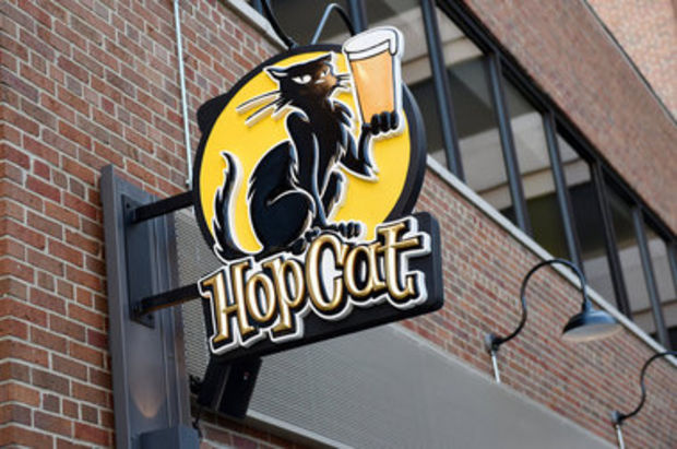 Hopcatbeer