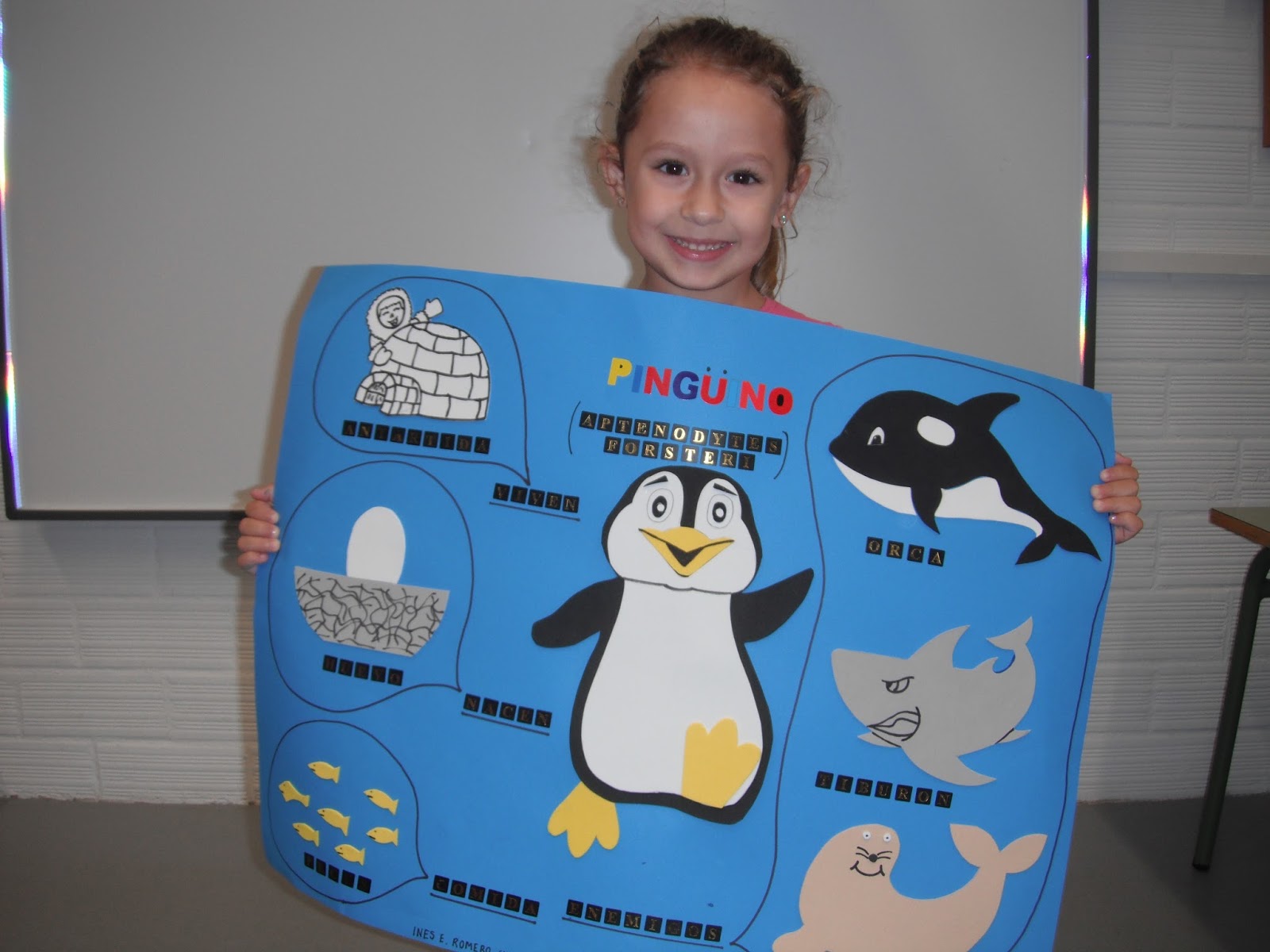 PENGUINS CLASS. PROJECT PENGUIN