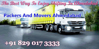 Mandatory Tips To Move The Country Over With Your Pet: Packers And Movers Ahmedabad Packers-movers-ahmedabad20