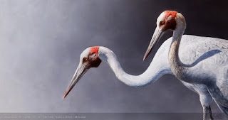 aves-en-paisajes-pintadas-con-oleo-sobre-lienzo cuadros-oleo-paisajes-aves