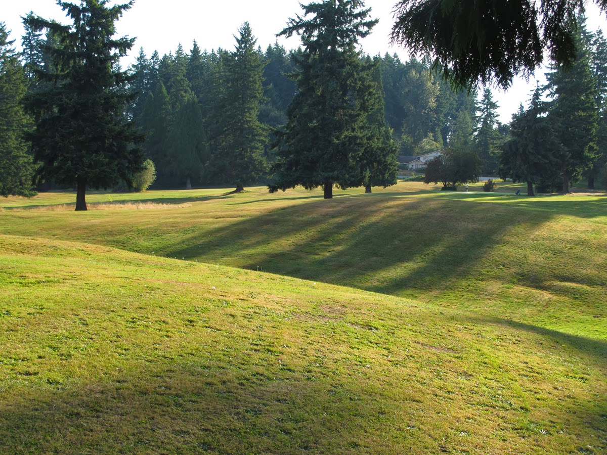 Neighbors To Save Wellington Hills Park Why Wellington Hills Park is