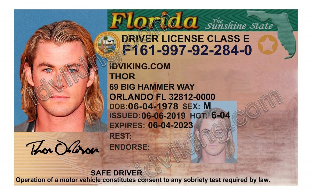 Fake Document Editing Services Florida (FL) Driving Licence Template