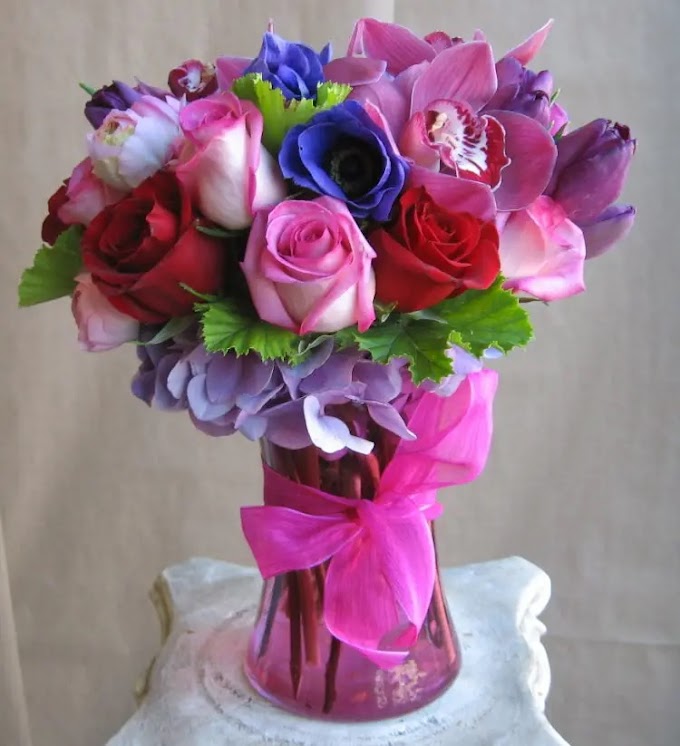 Celebrate The Womanhood With Exclusive Women’s Day Gifts Of Bloomsvilla
