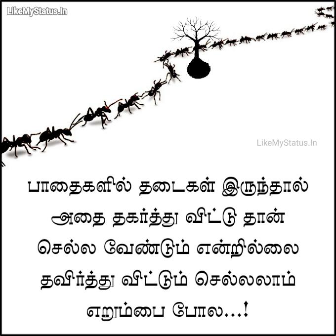 பாதைகளில் தடைகள் இருந்தால்... Tamil Quote Image...