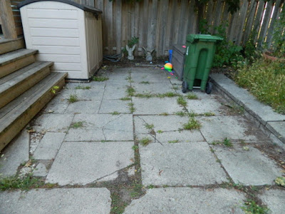 Toronto Beach Hill Fall Garden Cleanup Before by Paul Jung Gardening Services--a Toronto Organic Gardener Toronto Beach Hill Fall Garden Cleanup Before by Paul Jung Gardening Services--a Toronto Organic Gardener