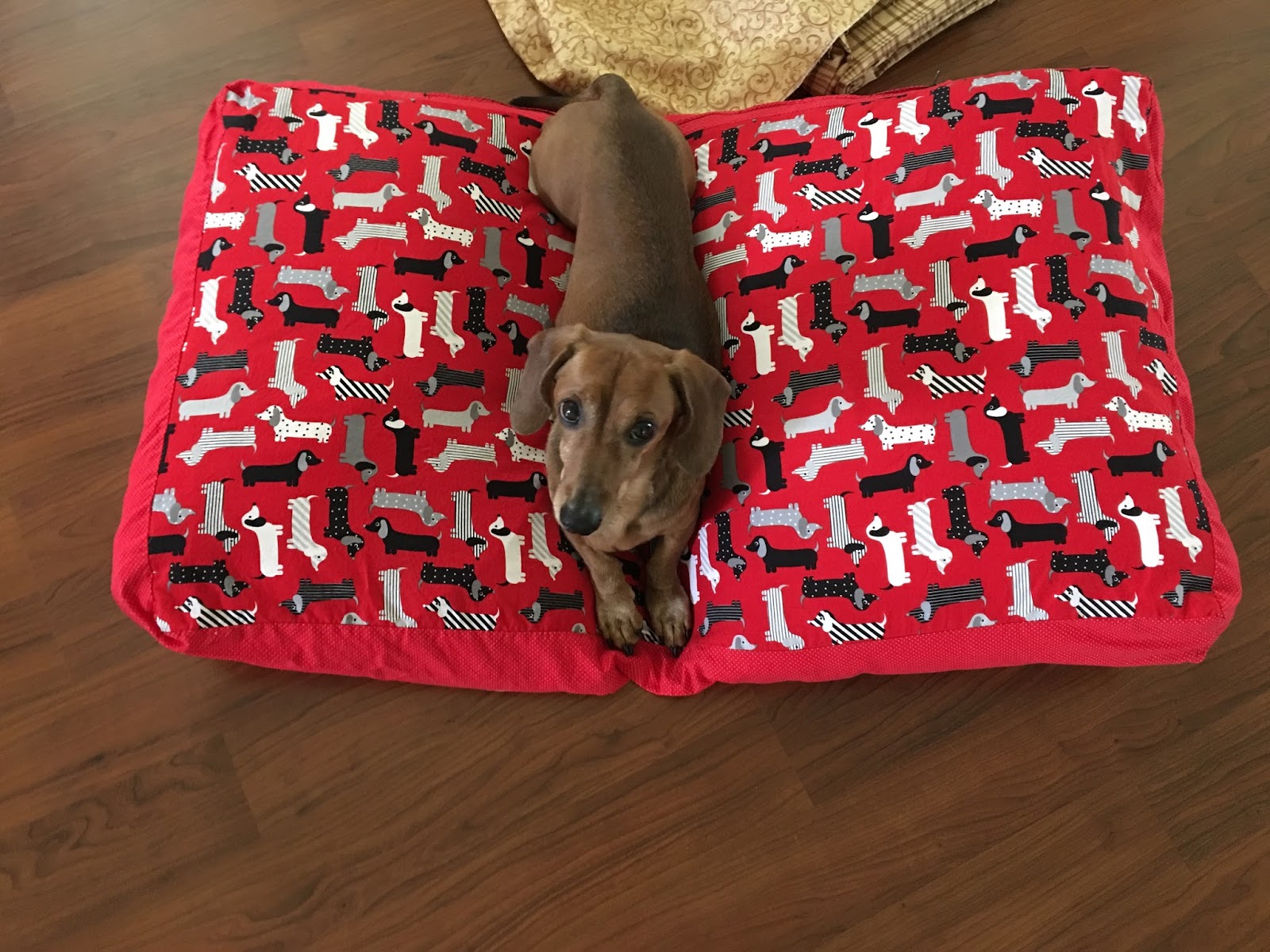 Buttons and Pockets Dog Bed/Cushion Cover
