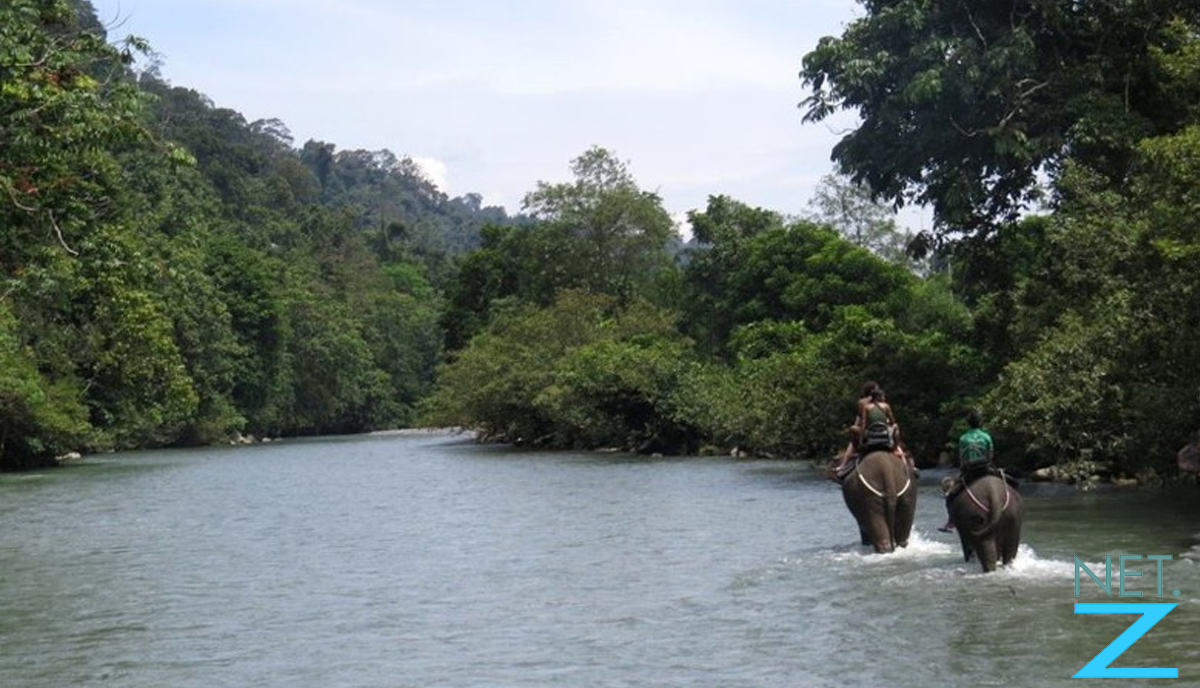 Alas River that divides Gunung Leuser National Park