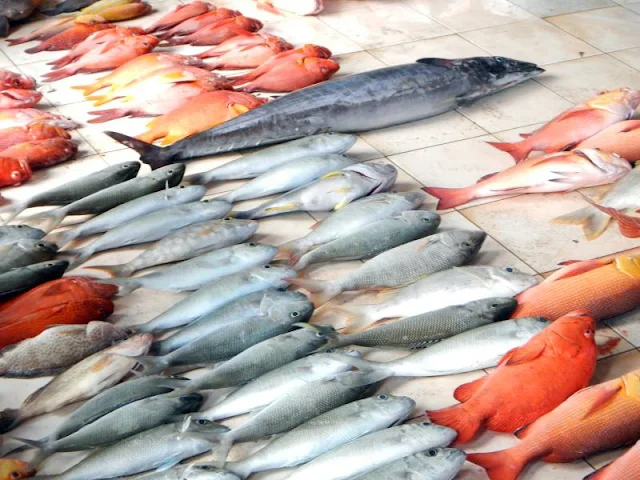 سوق السمك بمالي Male Fish Market