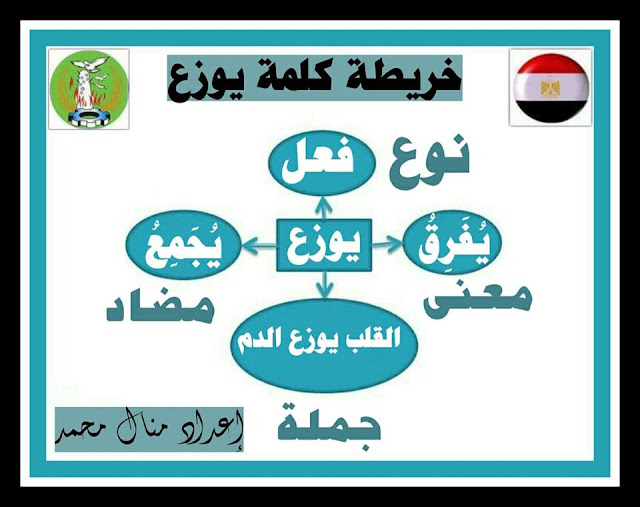 ملخص كل اساليب القرائية لدرس "اعرف جسمك" للصف الثانى الابتدائى الترم الثانى 17821677_1895107040702357_616545848_n