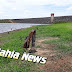 REGIÃO / Veja nível atualizado da barragem João Durval Carneiro e demais reservatórios da Bahia