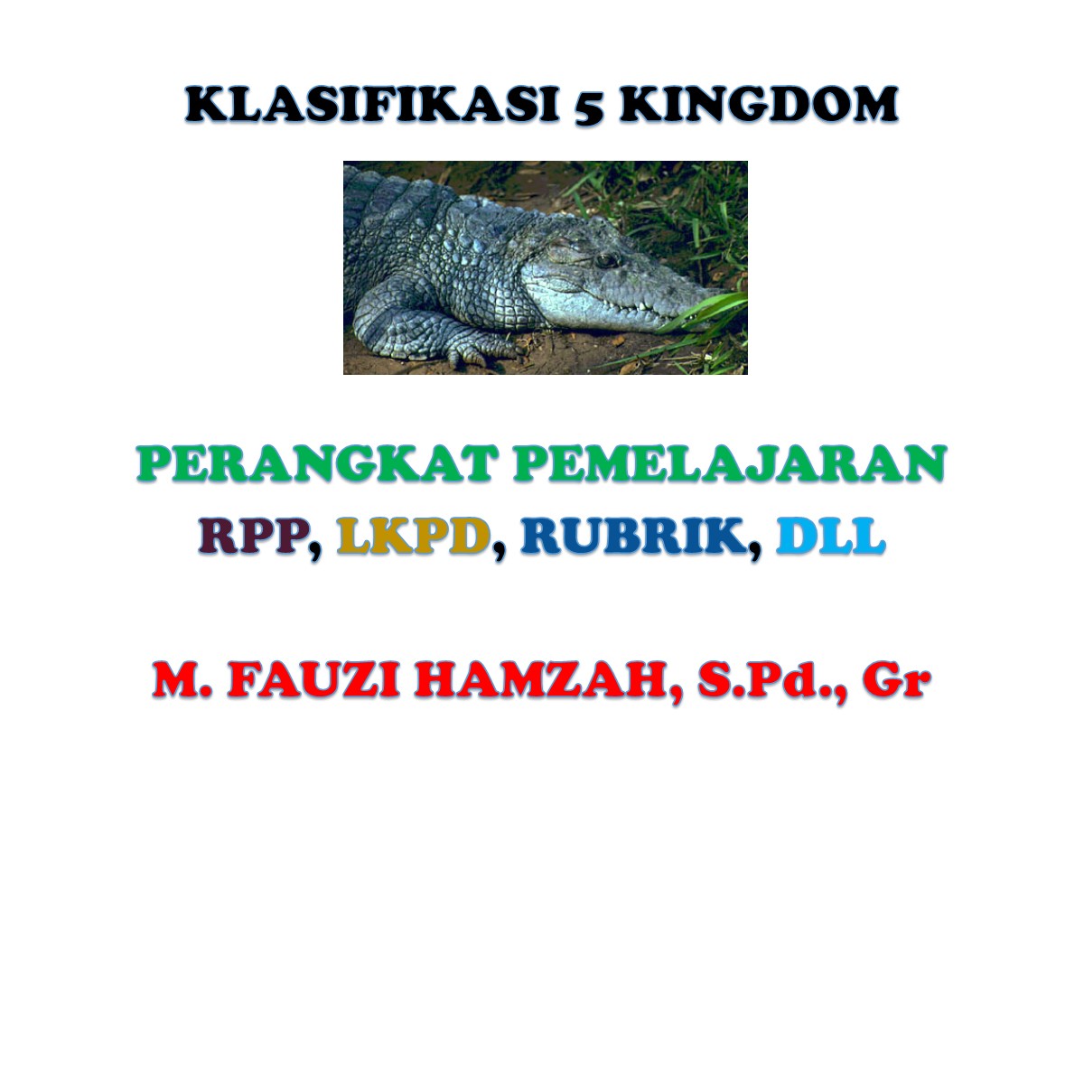 M Fauzi Hamzah Rpp Biologi Klasifikasi 5 Kingdom Rpp Rubrik