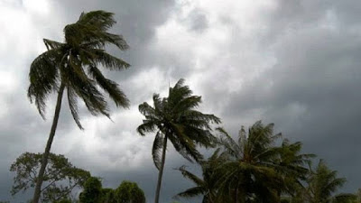 Maharashtra Weather Update