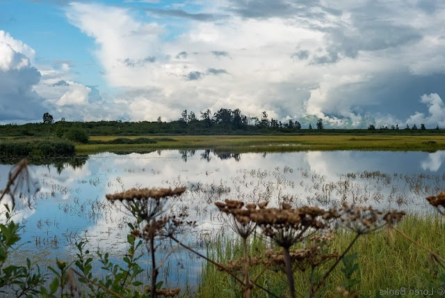 Alaganik Slough in Cordova, Alaska Alaganik Slough in Cordova, Alaska