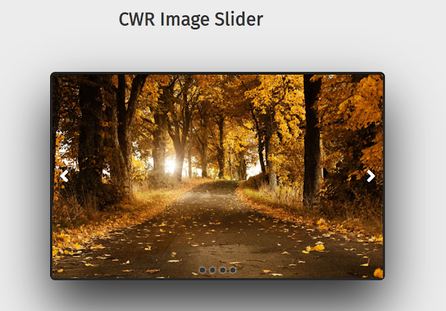 Image Slider Using HTML,CSS and JavaScript