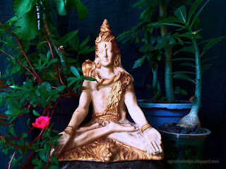 Lord Shiva Mini Statue On The Stone With Tiny Decorative Flower Plants In The Room
