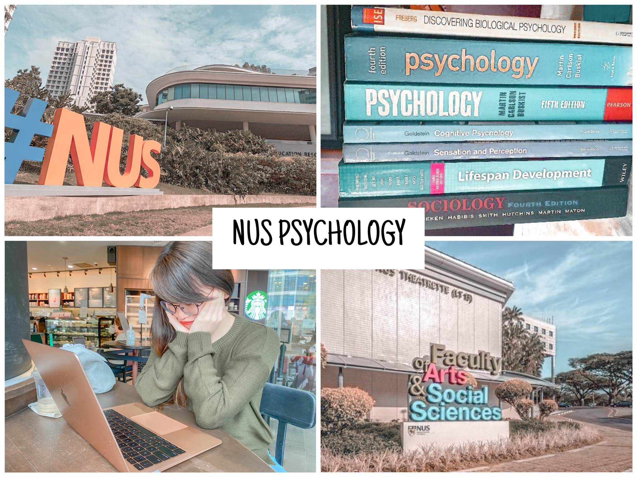 nus psychology honours thesis requirements