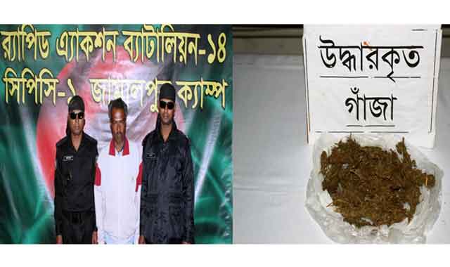 Jamalpur arrested with cannabis 1 জামালপুরে গাঁজাসহ গ্রেফতার ১