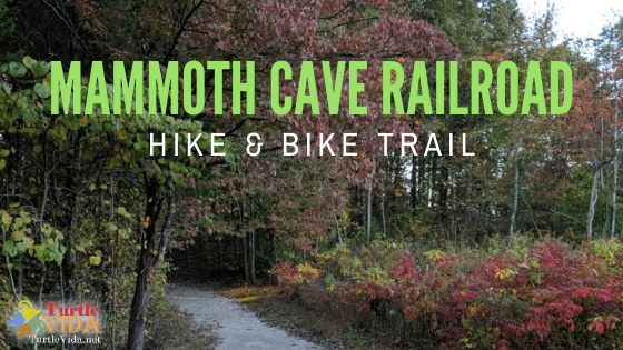Turtle Vida Mammoth Cave Railroad Bike And Hike Trail